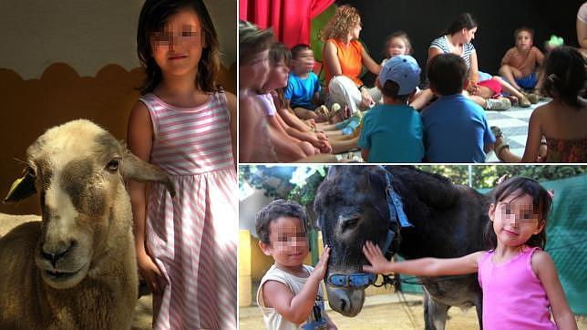 El campamento de la Granja Escuela La Buhardilla acerca a los niños al mundo animal
