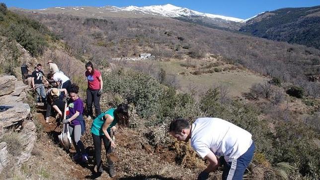 Una acequia medieval de la Alpujarra vuelve a funcionar después de 30 años