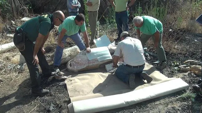 Un incendio en una finca de La Rinconada descubre un conjunto de valor arqueológico