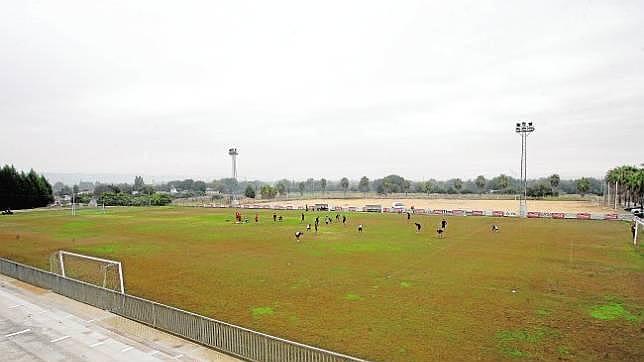 El Córdoba denuncia el sabotaje del césped de la Ciudad Deportiva