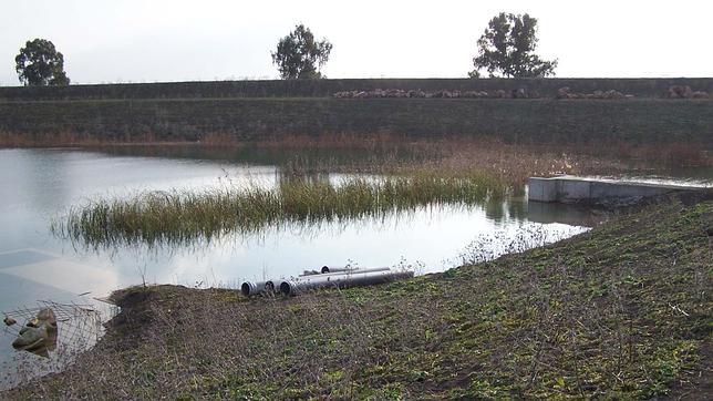 La Junta supo el ganador de las obras de la marisma tres días antes del concurso