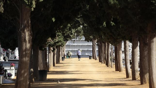 Los sepultureros extravían un cadáver en el cementerio de Sevilla