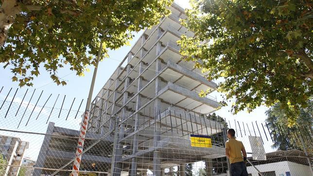 Denuncian una plaga de pulgas en un colegio junto a la obra de la Normal