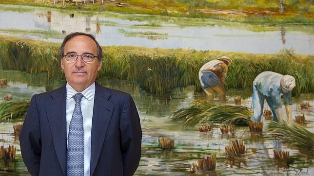 Los Hernández: así se cultivan 850 millones de euros gracias al arroz