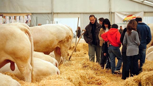 Juan José Badiola abrirá las jornadas técnicas de la feria agroganadera