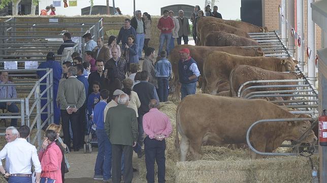 La Feria Agroganadera busca aunar esfuerzos