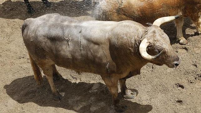 La corrida de Torrestrella de este lunes de la Feria de Abril se lidiará completa