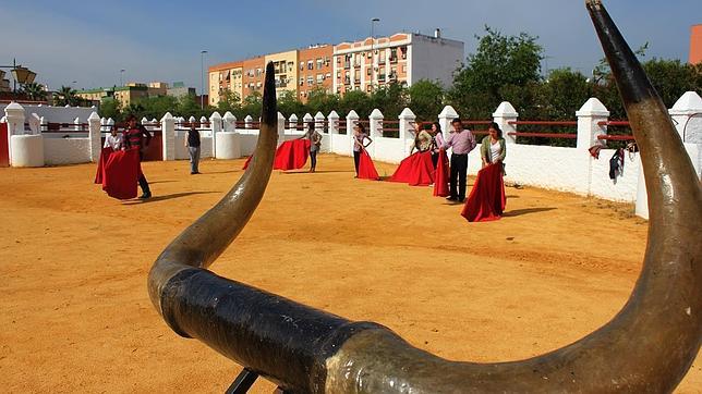 La Tauromaquia también es para los universitarios sevillanos