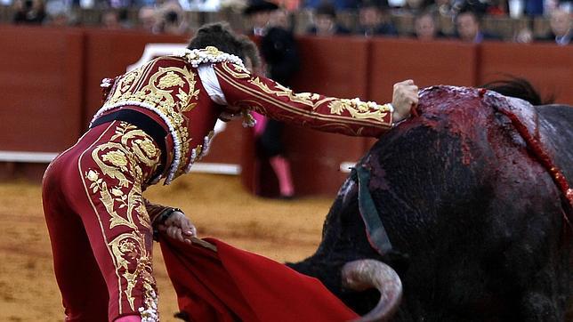 Manzanares, Ferrera, Escribano y Cuvilllo, premios «Puerta del Príncipe»