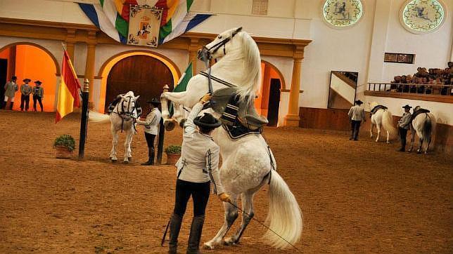 La Real Escuela multiplica su actividad con la Feria del Caballo