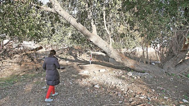 Aparece un cadáver en el Camino de la Barca