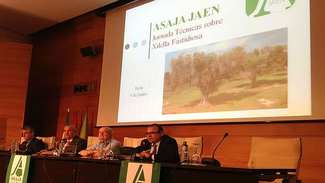 «Hay que reforzar los controles y la investigación para frenar a la Xylella Fastidiosa»