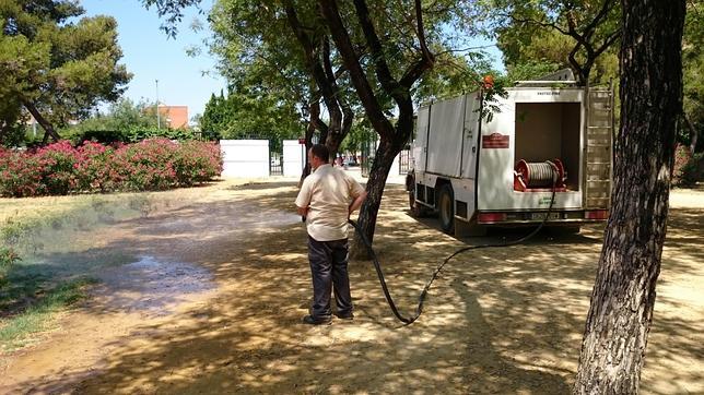 Un camión cisterna para salvar el poco verde que queda en el parque Amate