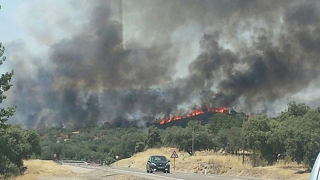Estabilizado el incendio en El Garrobo