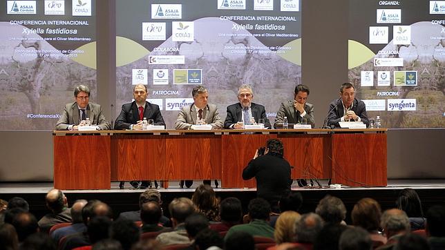 Expertos en la Conferencia Internacional sobre la Xylella celebrada en Córdoba en febrero