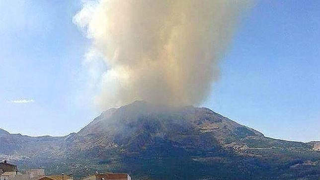 «Sigue habiendo terroristas medioambientales en Andalucía»