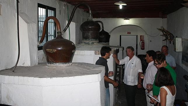 Cazalla de la Sierra se pasa del anís a la ginebra