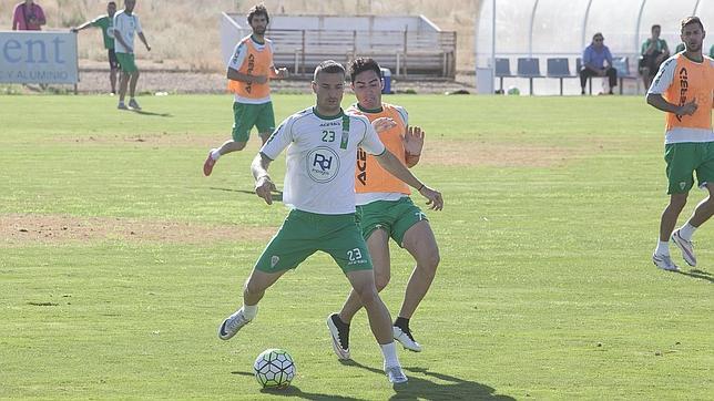 La aportación de los fichajes del Córdoba