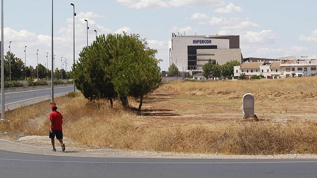 Ayuntamiento y Córdoba CF, al borde del juzgado por la Ciudad Deportiva