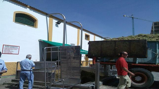 La vendimia de Jerez cierra con unos 75 millones de kilos