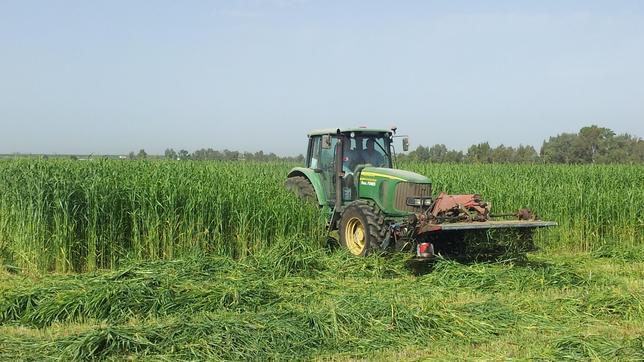 El tractor que nunca llegó a su destino