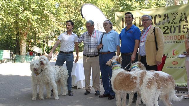 José Luis Domínguez, el baluarte del podenco cordobés