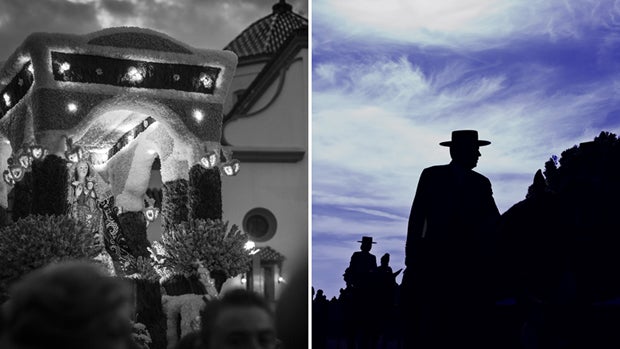 Fotografías ganadoras del concurso