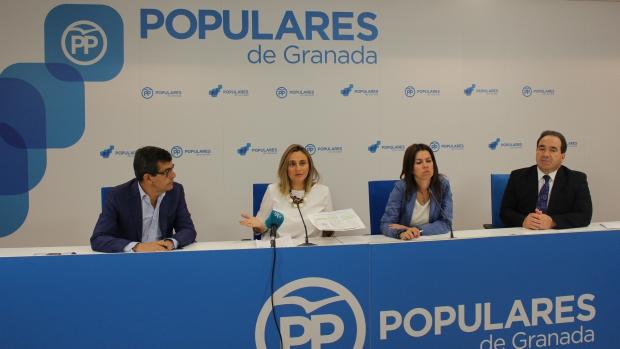 El PP critica los presupuestos de la Junta de Andalucía para Granada: «Son decepcionantes»