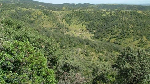 Polémica por la subasta de un monte público vendido para hacer un campo de golf