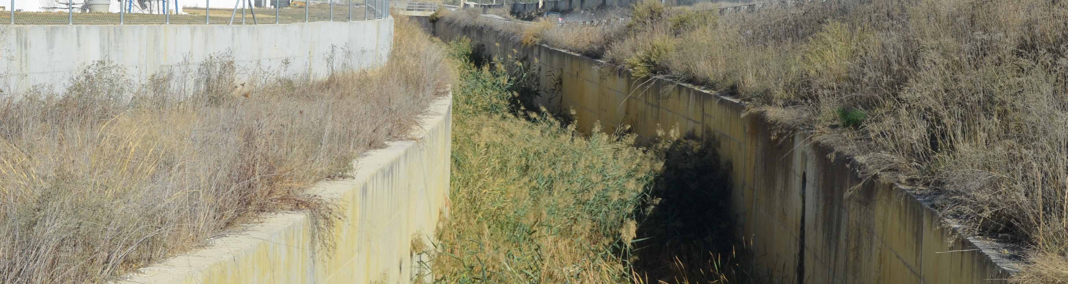 La vegetación se ha hecho dueña de este canal en Utrera