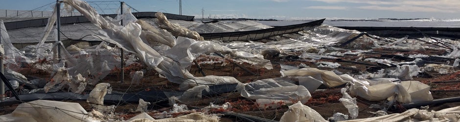 Invernadero destrozado tras el paso del tornado