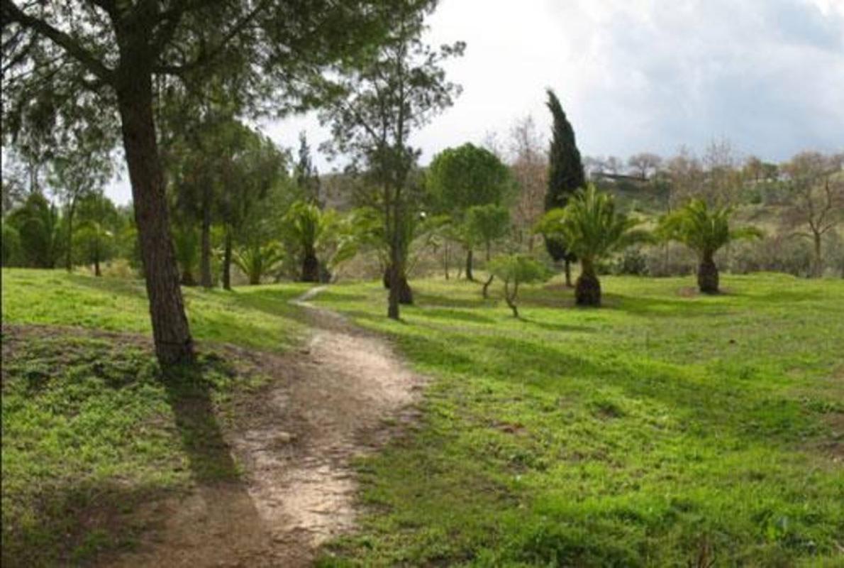 El parque de La Muela es la zona verde más importante de El Viso