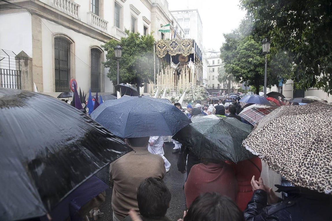 La Borriquita, la primera en salir de la Catedral