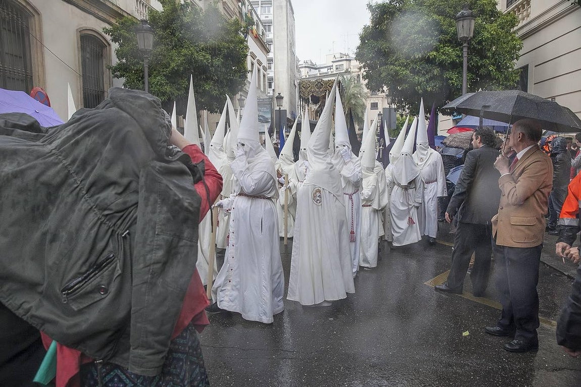 La Borriquita, la primera en salir de la Catedral