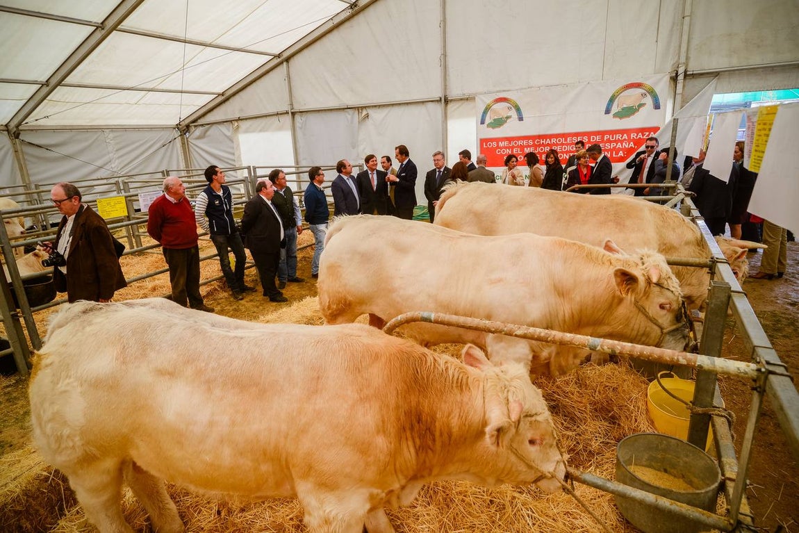 La inauguración de la Feria Agroganadera, en imágenes