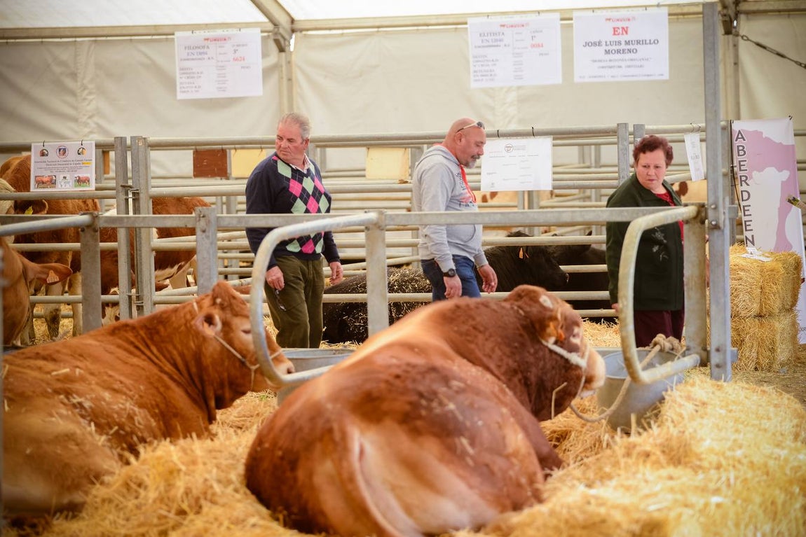 La inauguración de la Feria Agroganadera, en imágenes
