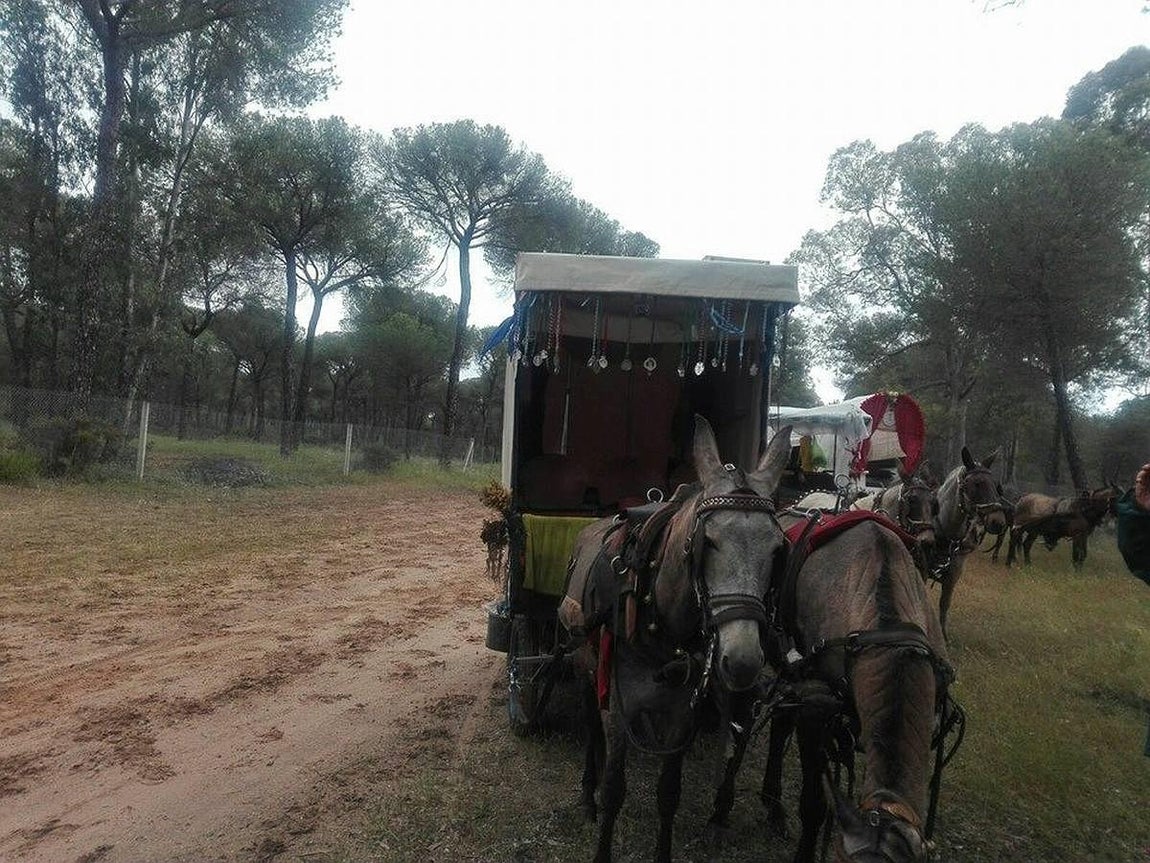 «Charo» y «Chula»