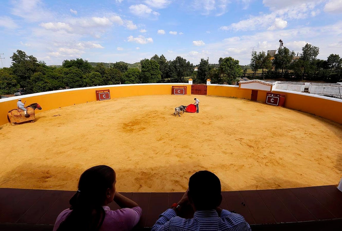 Finito, al natural, en imágenes