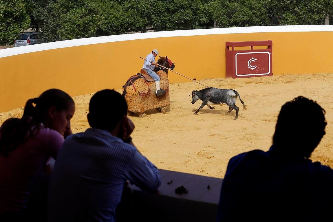 Finito, al natural, en imágenes