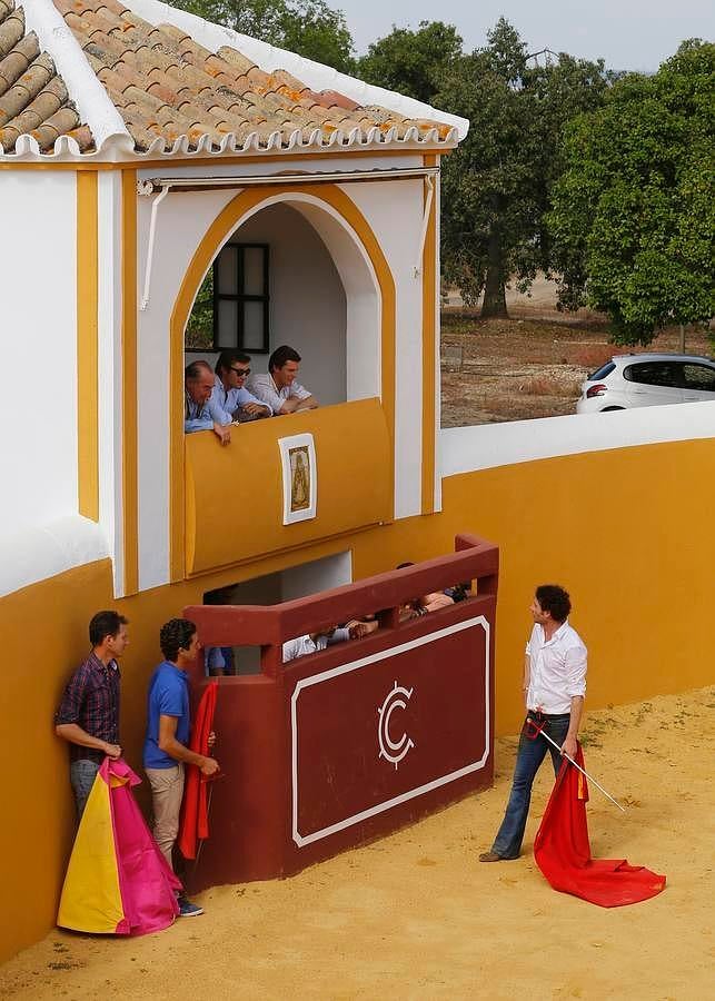 Finito, al natural, en imágenes