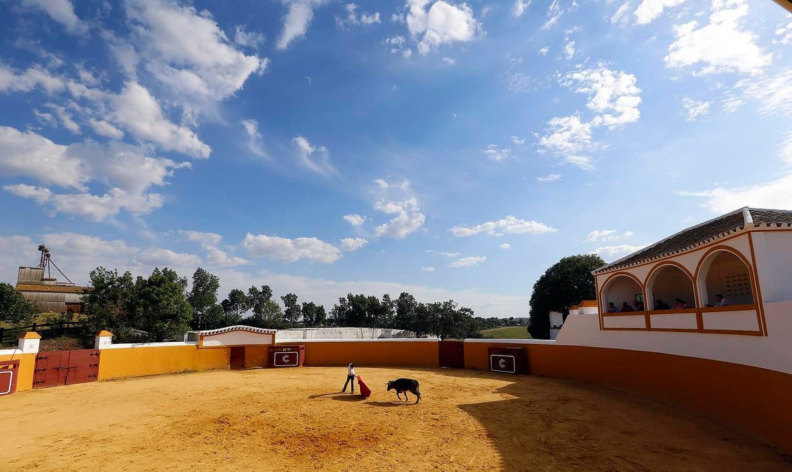 Finito, al natural, en imágenes