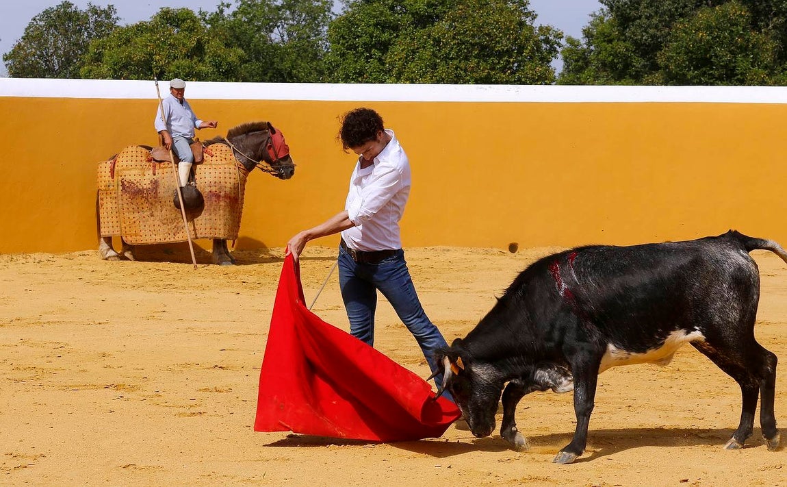 Finito, al natural, en imágenes