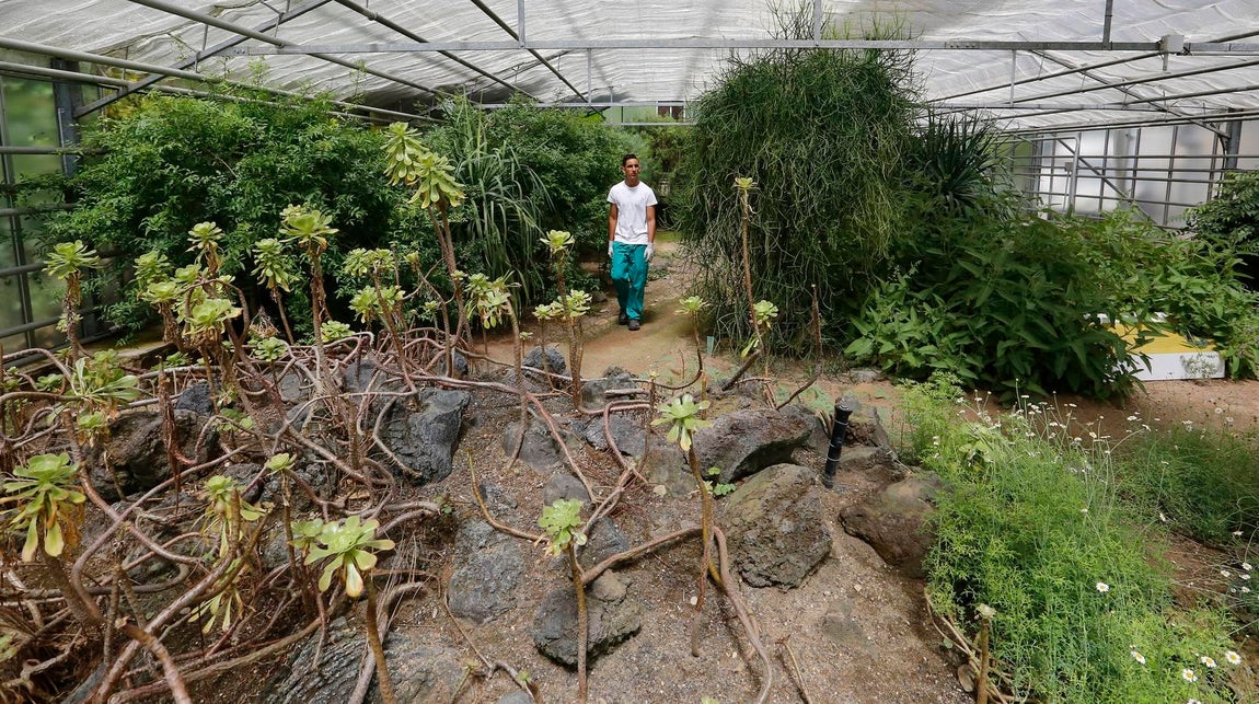 Un paseo por el Real Jardín Botánico de Córdoba, en imágenes