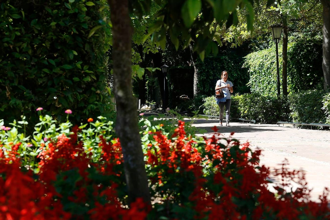 Un paseo por el Real Jardín Botánico de Córdoba, en imágenes
