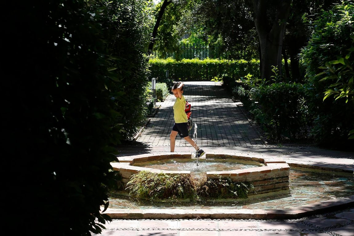 Un paseo por el Real Jardín Botánico de Córdoba, en imágenes