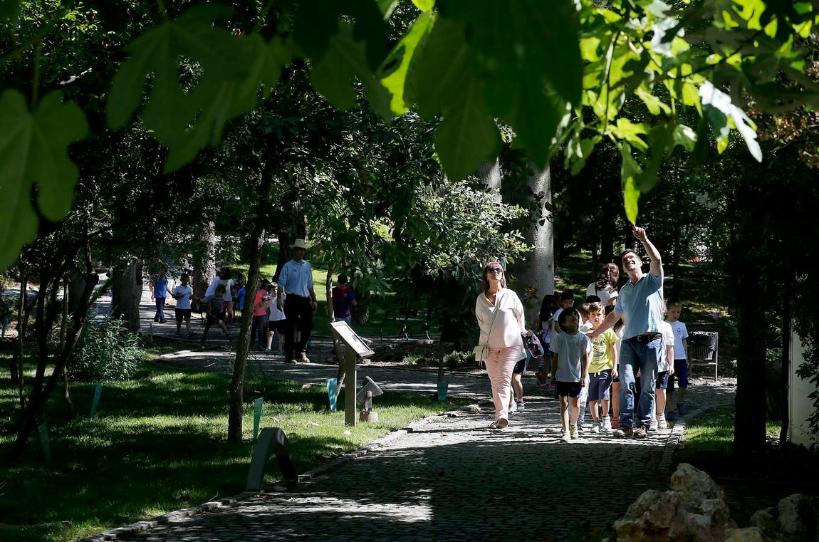 Un paseo por el Real Jardín Botánico de Córdoba, en imágenes