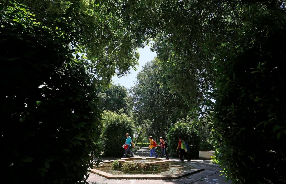 Un paseo por el Real Jardín Botánico de Córdoba, en imágenes