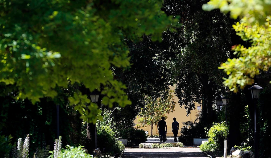 Un paseo por el Real Jardín Botánico de Córdoba, en imágenes