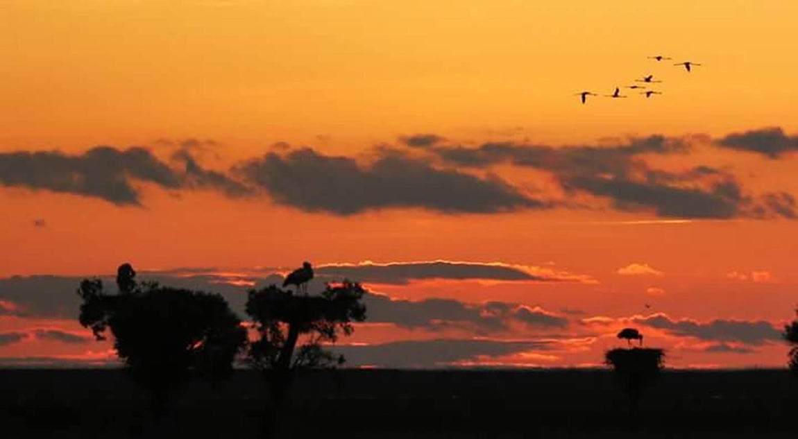 Atardecer en Doñana