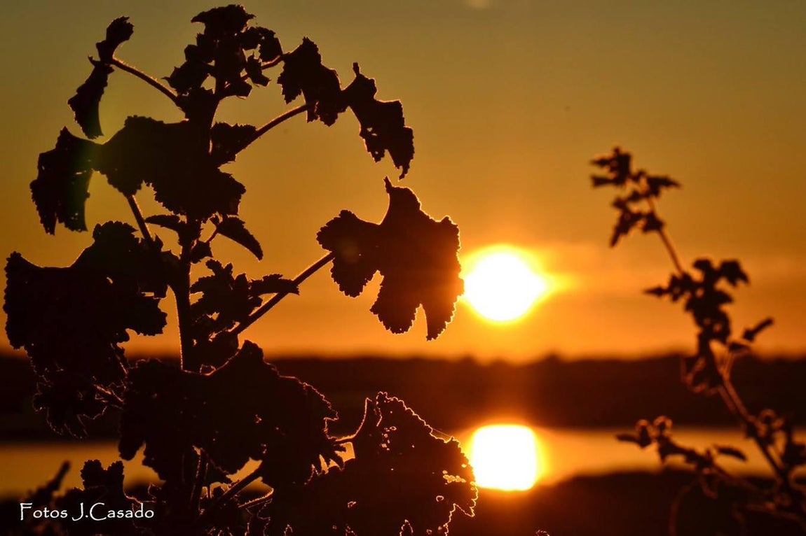 Atardecer en las salinas de Sanlúcar de Barrameda (Cádiz)